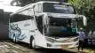 buspariwisata.id - foto bus pariwisata marjaya trans e
