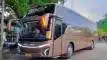 buspriwisata.id - foto bus pariwisata muji jaya h