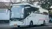 buspriwisata.id - foto bus pariwisata muji jaya d
