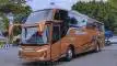 buspriwisata.id - foto bus pariwisata 4 putra jaya trans b
