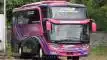 buspriwisata.id - foto bus pariwisata wardah trans d