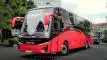 buspariwisata.id - foto bus pariwisata sumex 97 c