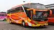 buspriwisata.id - foto bus pariwisata semanta transport b