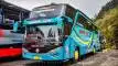 buspariwisata.id - foto bus pariwisata sumber jaya trans b