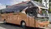 buspriwisata.id - foto bus pariwisata remaja elegant h