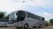 buspariwisata.id - foto bus pariwisata city trans utama f