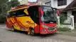 buspariwisata.id - foto bus pariwisata william c