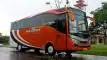 buspriwisata.id - foto bus pariwisata mega trans c