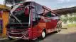 buspriwisata.id - foto bus pariwisata buah hijau trans f