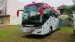 buspariwisata.id - foto bus pariwisata nagita transport f