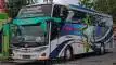 buspariwisata.id - foto bus pariwisata teguh muda c