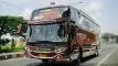 buspariwisata.id - foto bus pariwisata garin trans j