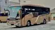 buspariwisata.id - foto bus pariwisata tam wisata c