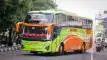 buspriwisata.id - foto bus pariwisata nila trans a