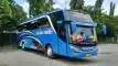 buspariwisata.id - foto bus pariwisata aalina trans c