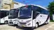 buspariwisata.id - foto medium bus pariwisata trac a