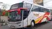 buspriwisata.id - foto bus pariwisata megatrans holiday d