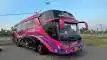 buspriwisata.id - foto bus pariwisata wardah trans e