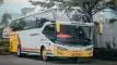 buspariwisata.id - foto bus pariwisata sarwonadhi trans b
