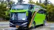 buspriwisata.id - foto bus pariwisata shelota c