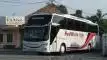 buspariwisata.id - foto bus pariwisata red white star g