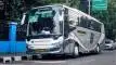 buspariwisata.id - foto bus pariwisata limas g