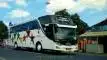 buspariwisata.id - foto bus pariwisata starbus f