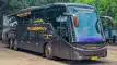 buspariwisata.id - foto bus pariwisata pangeran a