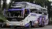 buspriwisata.id - foto bus pariwisata cinta bella e