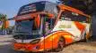 buspriwisata.id - foto bus pariwisata alvin jaya e
