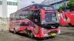 buspariwisata.id - foto medium bus pariwisata bhinneka c