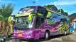buspriwisata.id - foto bus pariwisata trans talia e