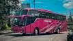buspariwisata.id - foto bus pariwisata endah trans a