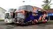 buspariwisata.id - foto bus pariwisata sauqil putra d