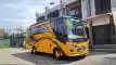 buspriwisata.id - foto bus pariwisata patriot maximiles i