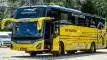 buspariwisata.id - foto bus pariwisata ms madani d