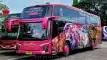 buspriwisata.id - foto bus pariwisata tiara trans e