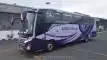buspriwisata.id - logo bus pariwisata arista onion trans b