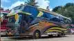 buspriwisata.id - foto bus pariwisata padi mas d