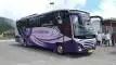 buspriwisata.id - logo bus pariwisata arista onion trans d