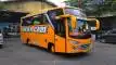 buspriwisata.id - foto bus pariwisata aneka cabe f