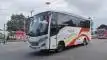 buspriwisata.id - foto bus pariwisata megatrans holiday c