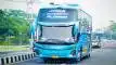 buspariwisata.id - foto bus pariwisata berkah bersaudara d