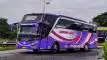 buspariwisata.id - foto bus pariwisata sumber jaya trans e