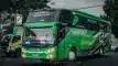 buspriwisata.id - foto bus pariwisata buah hijau trans e