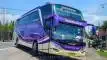 buspriwisata.id - foto bus pariwisata putra pelita jaya e