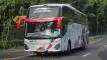 buspariwisata.id - foto bus pariwisata nagita transport j