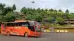 buspariwisata.id - foto bus pariwisata bris trans e