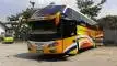 buspriwisata.id - foto bus pariwisata putra mas trans d