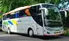 buspariwisata.id - foto bus pariwisata metropolitan b